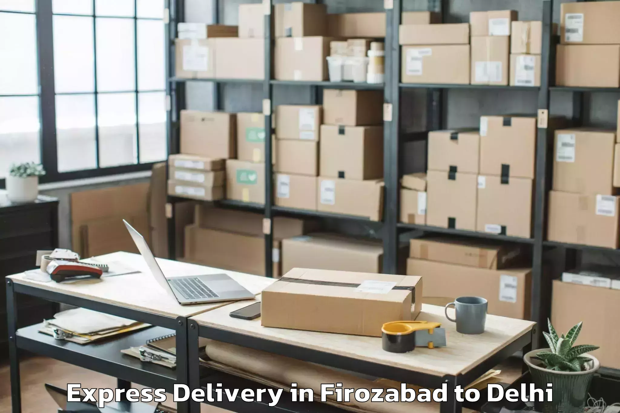 Professional Firozabad to Naraina Industrial Estate Express Delivery